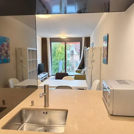 Comfortable 1br Flat At Great Location - Baron 24 Apartamento Zúrich